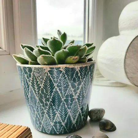 Le P'tit Opale A 2mn De La Apartamento *